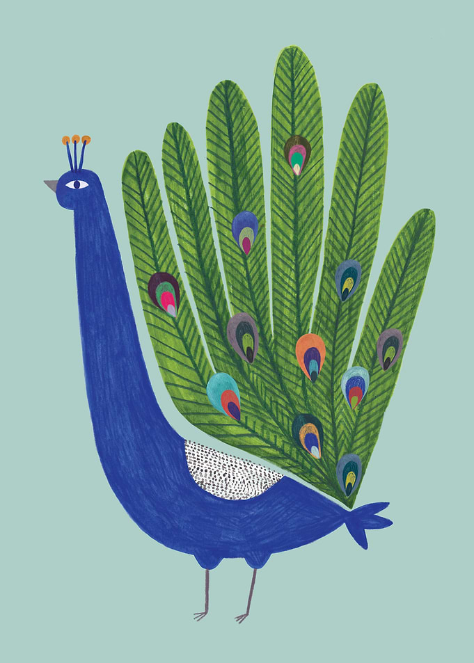 PEACOCK