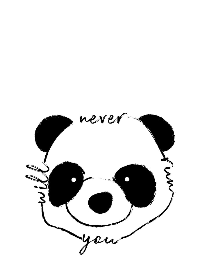 Panda Run
