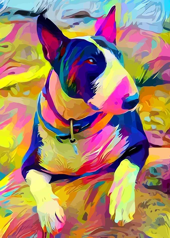 Bull terrier