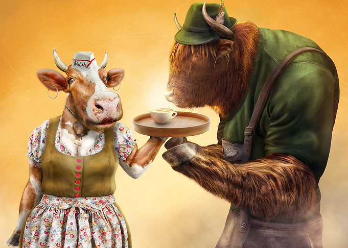 Cows