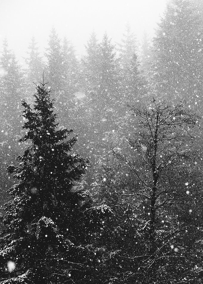 Winter Wonderland
