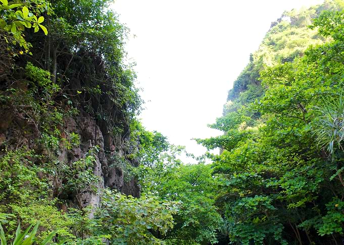 nature