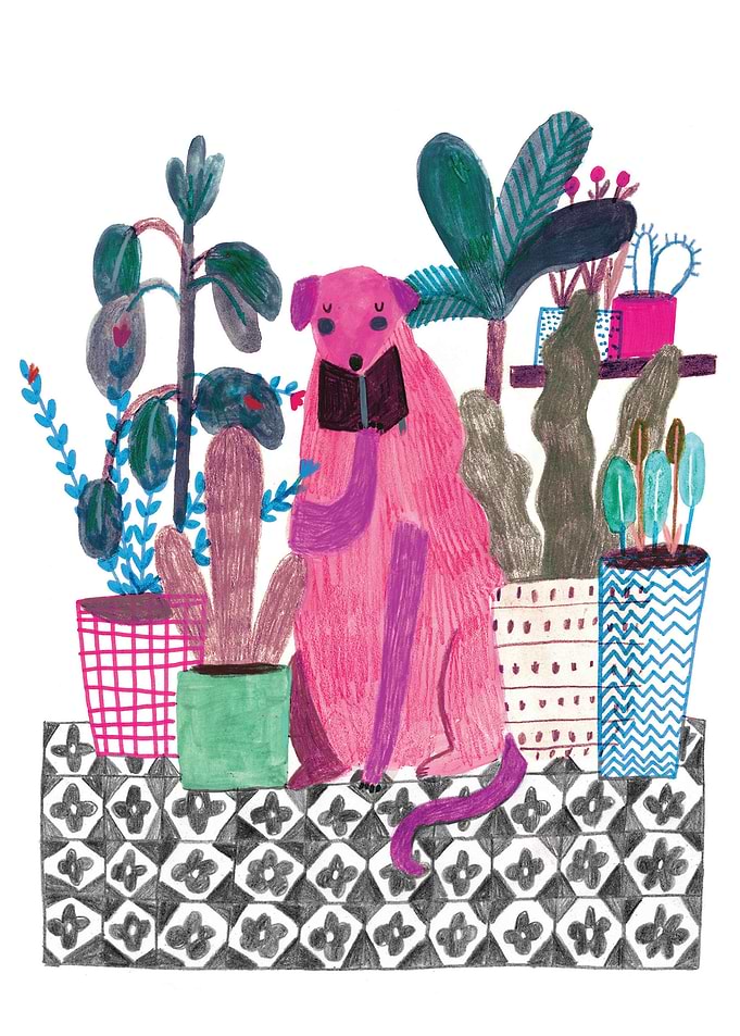 PINK DOG