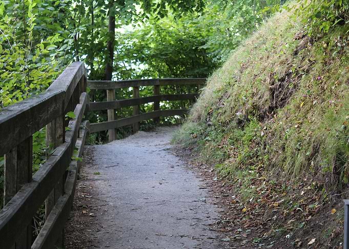 pathway