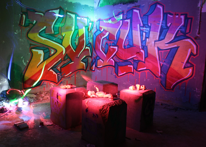 Sucuck 2
