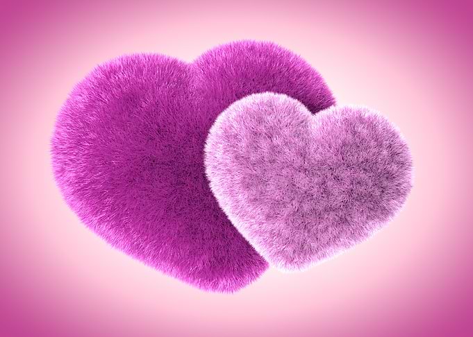 Furry Hearts