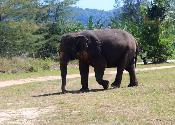 thailand