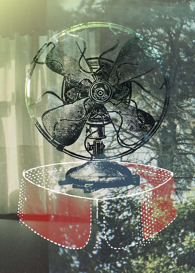 Fan