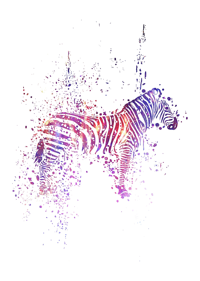 Zebra Galaxy Splatter