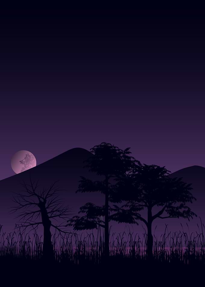 Nature View