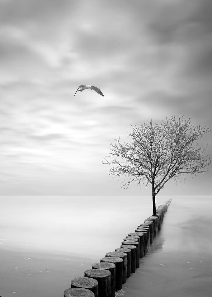 Baltic Impressions