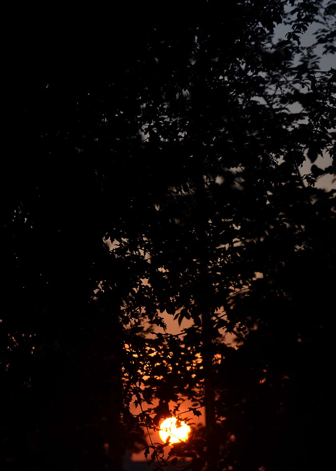 An awesome sunset