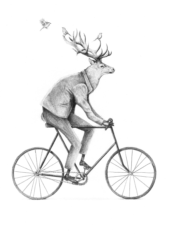 Even a Gentleman rides II