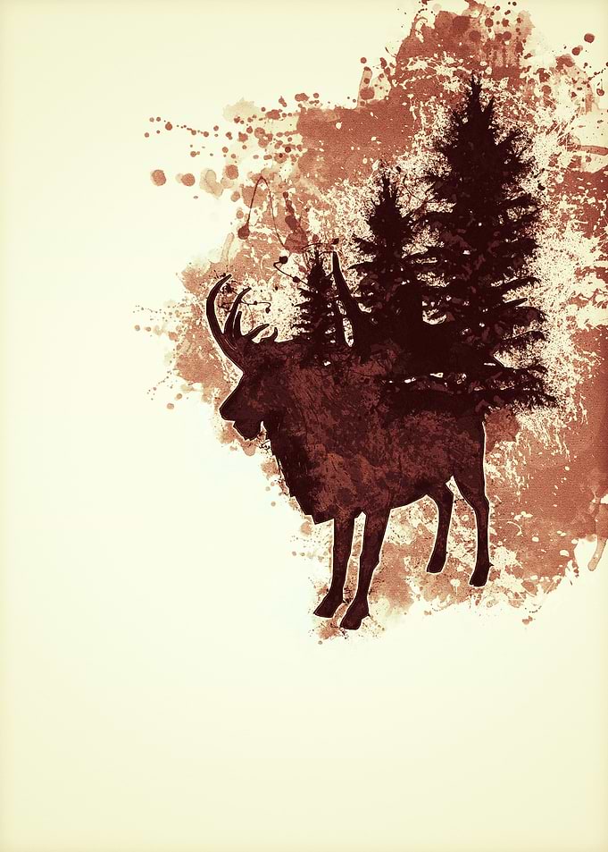 Deer