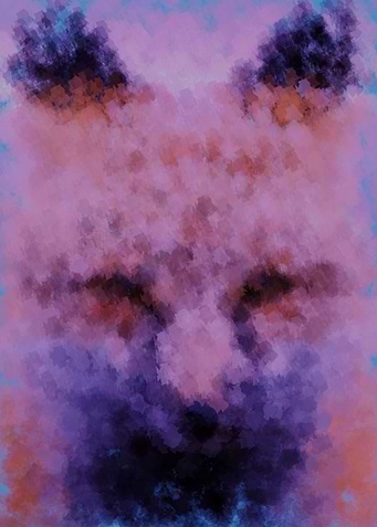foxx