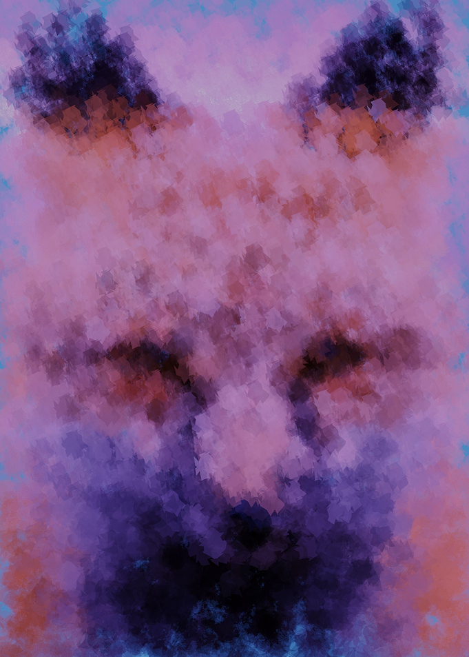 foxx