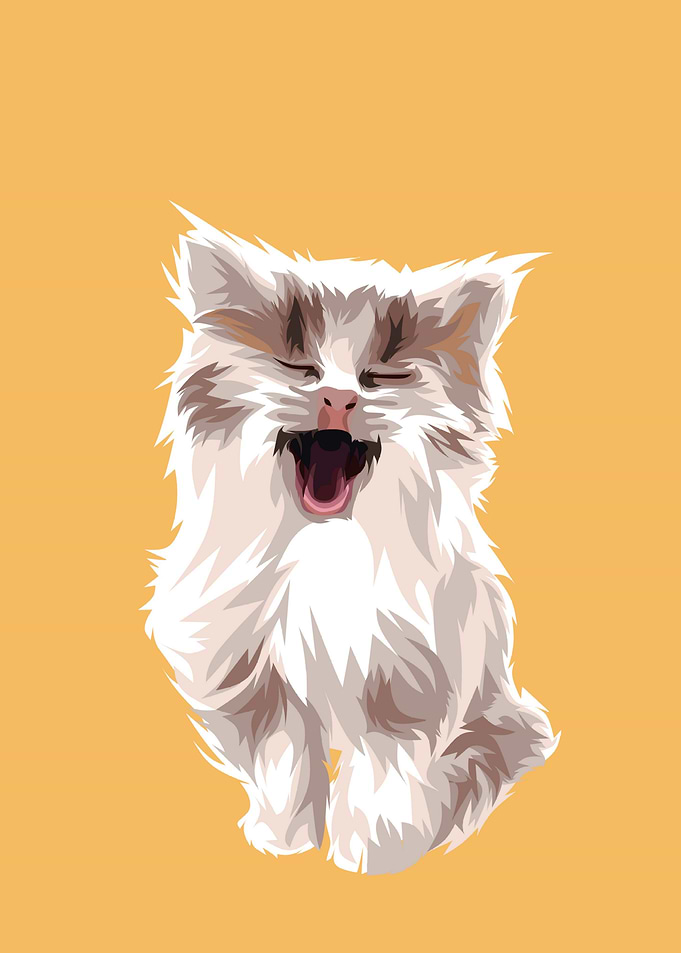 Cute cats