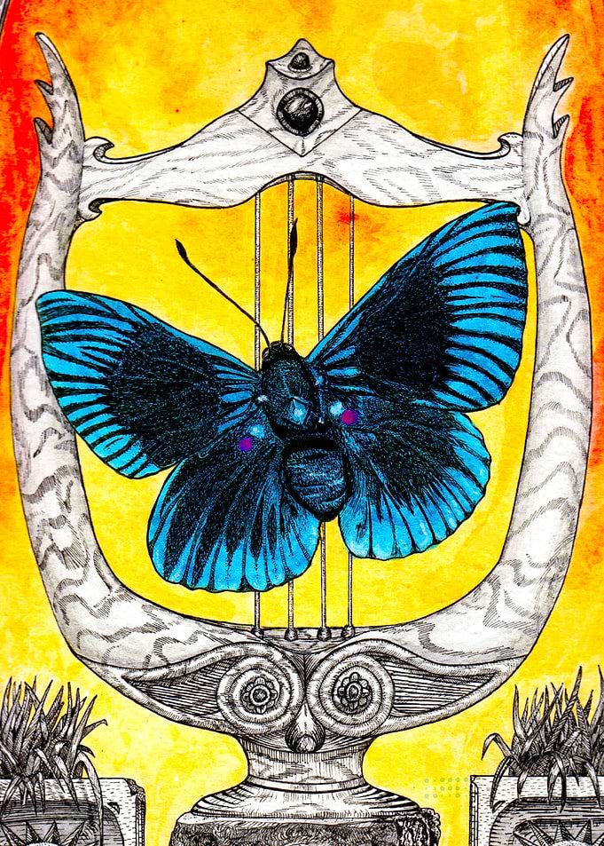 Exotic butterfly on lyre