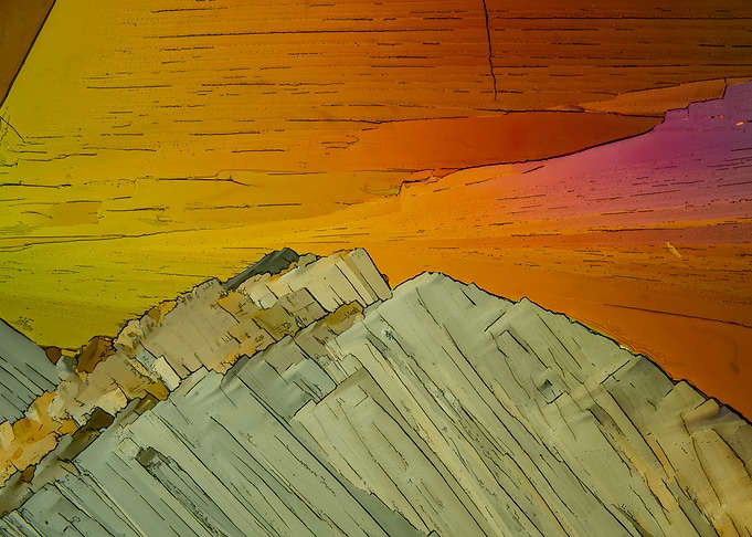 Benzenediol Dreams XII