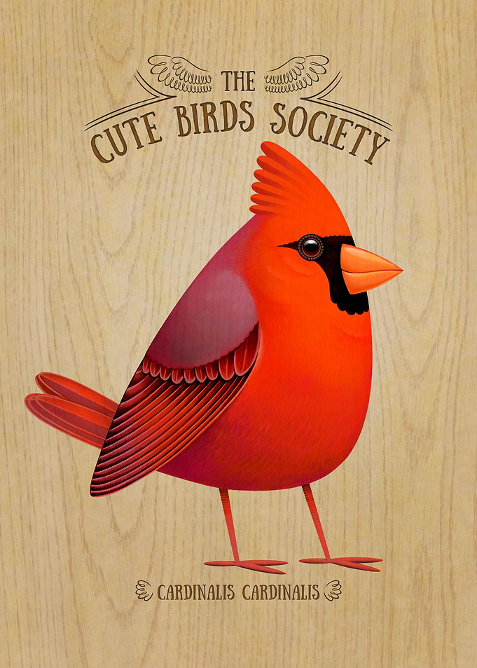 Red Cardinalis on Wood