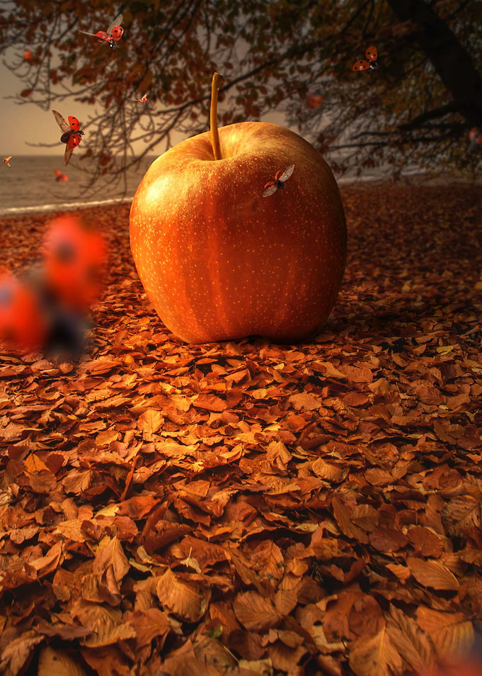 Land of apple