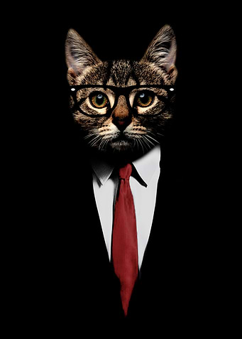 The catfather