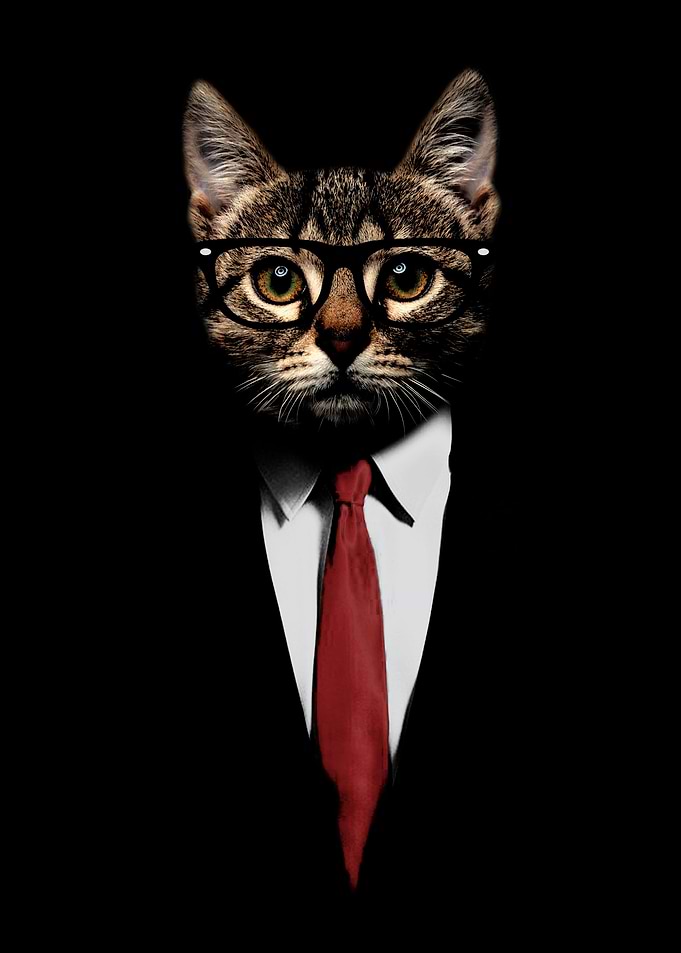 The catfather