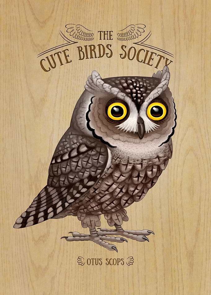 Otus scops on Wood