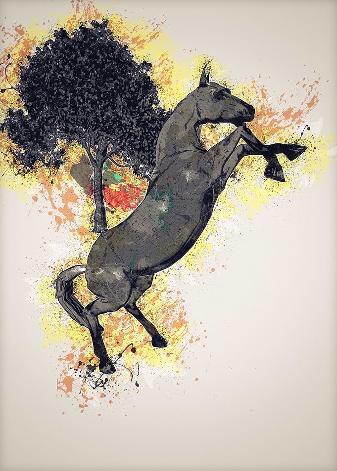 Horse