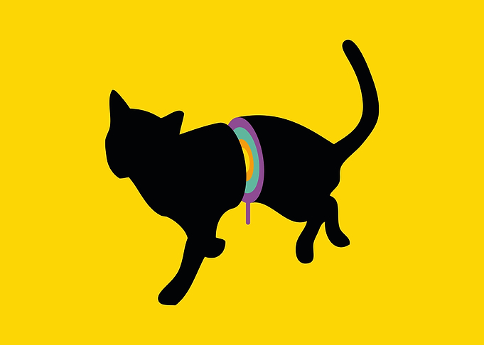 Sliced Cat