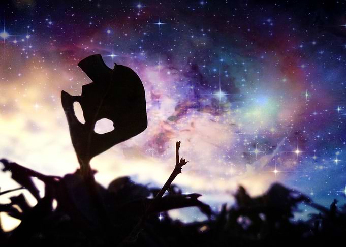 The Alien