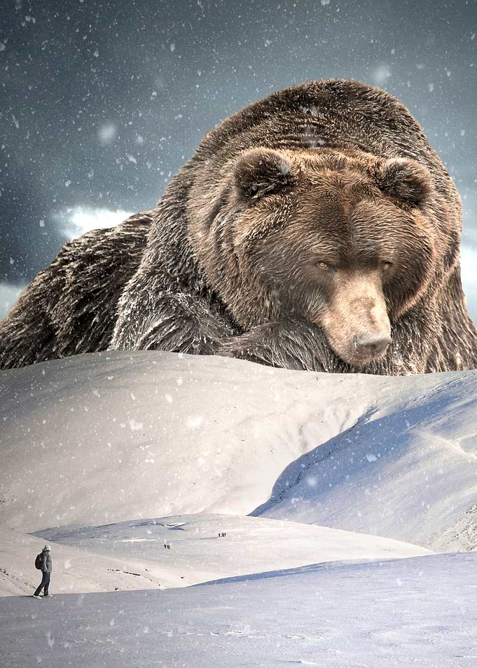 Winter tales