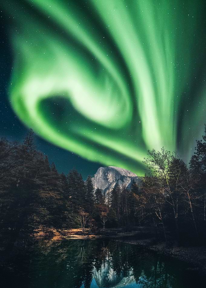 Green aurora over forest