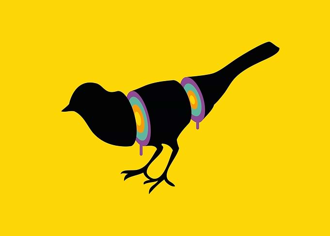 Sliced Bird