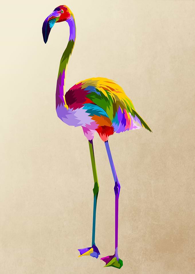colorful flamingo