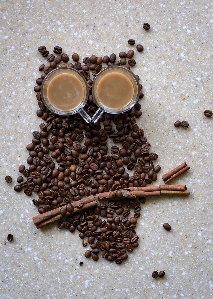 Coffee Owl