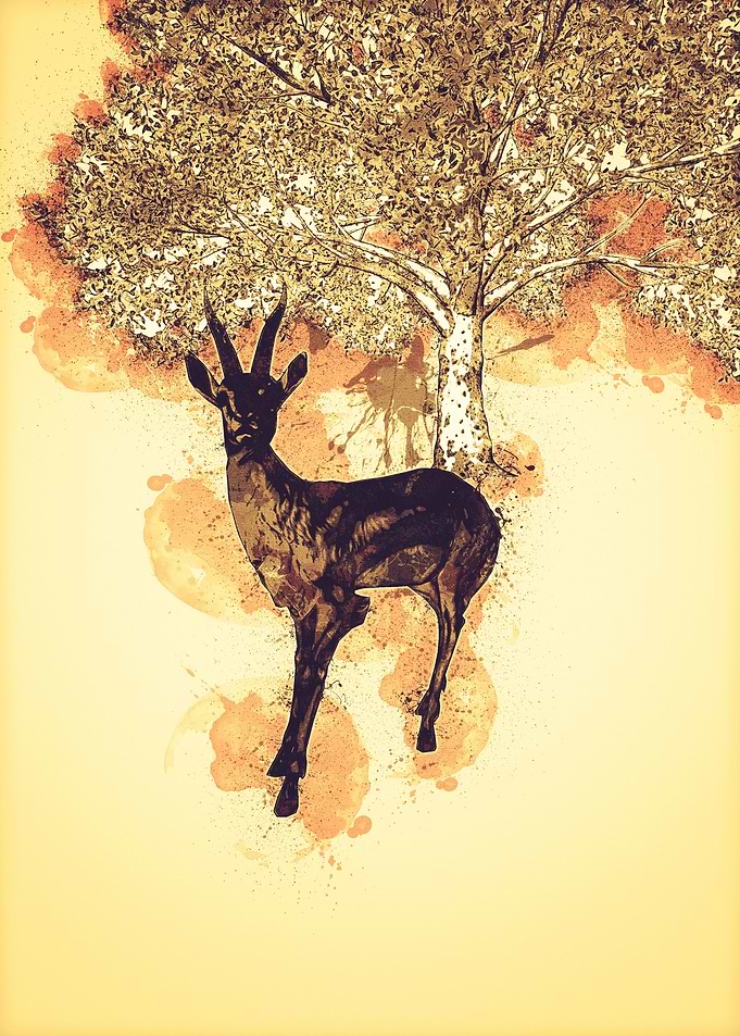 Gazelle