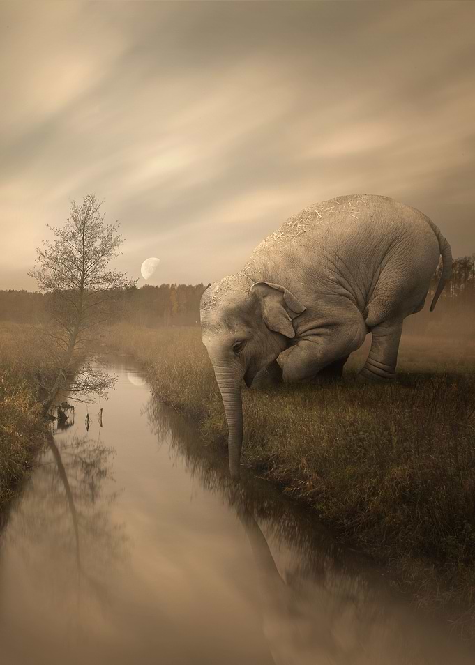 Thirst of life