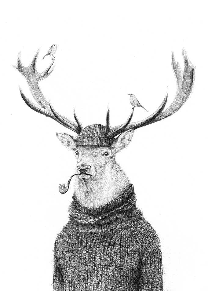 Thinking Wild