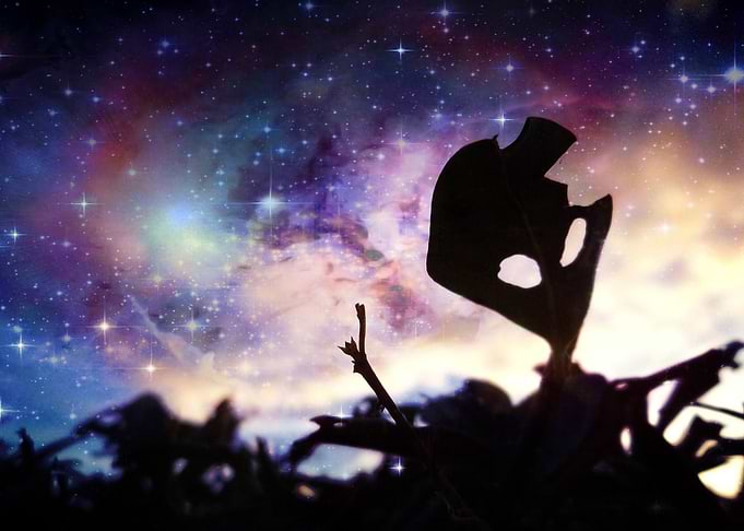 The Alien