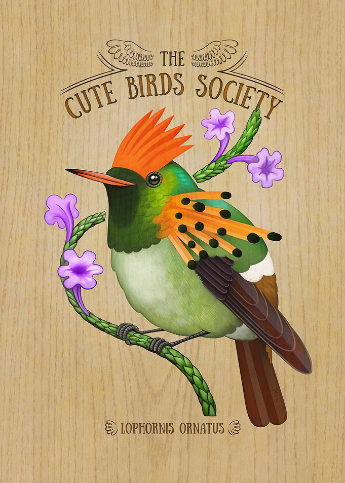 Tufted coquette on wood