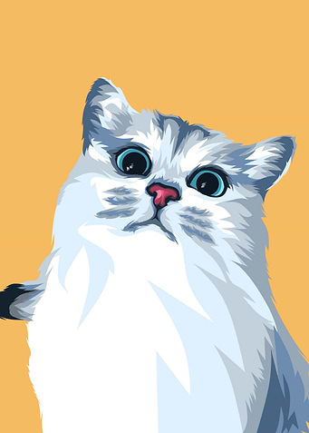 Cute cat