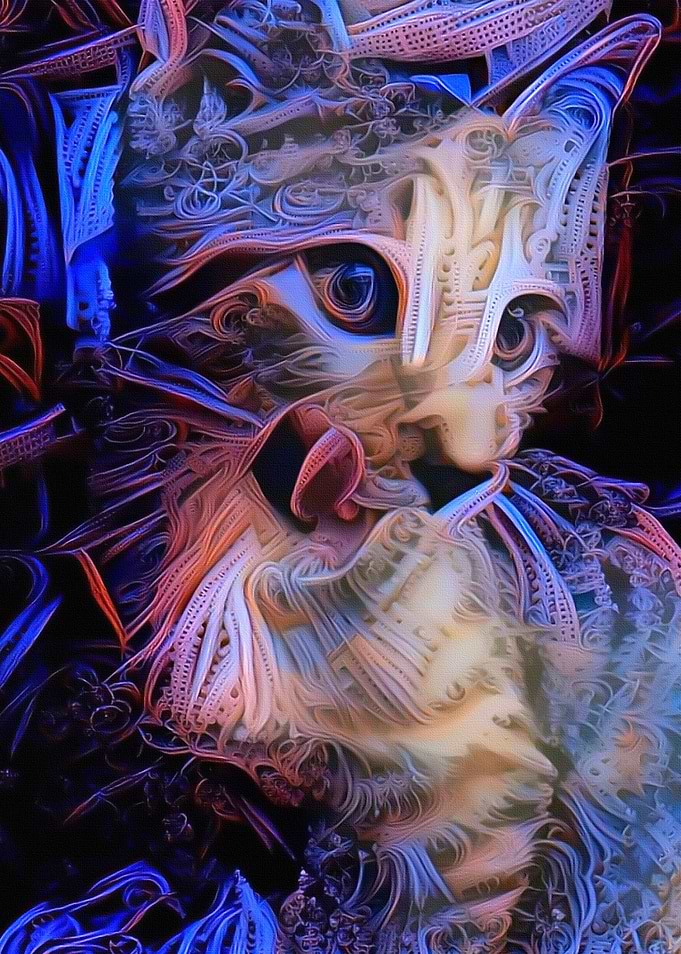 Kitten