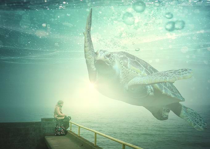 Dreaming