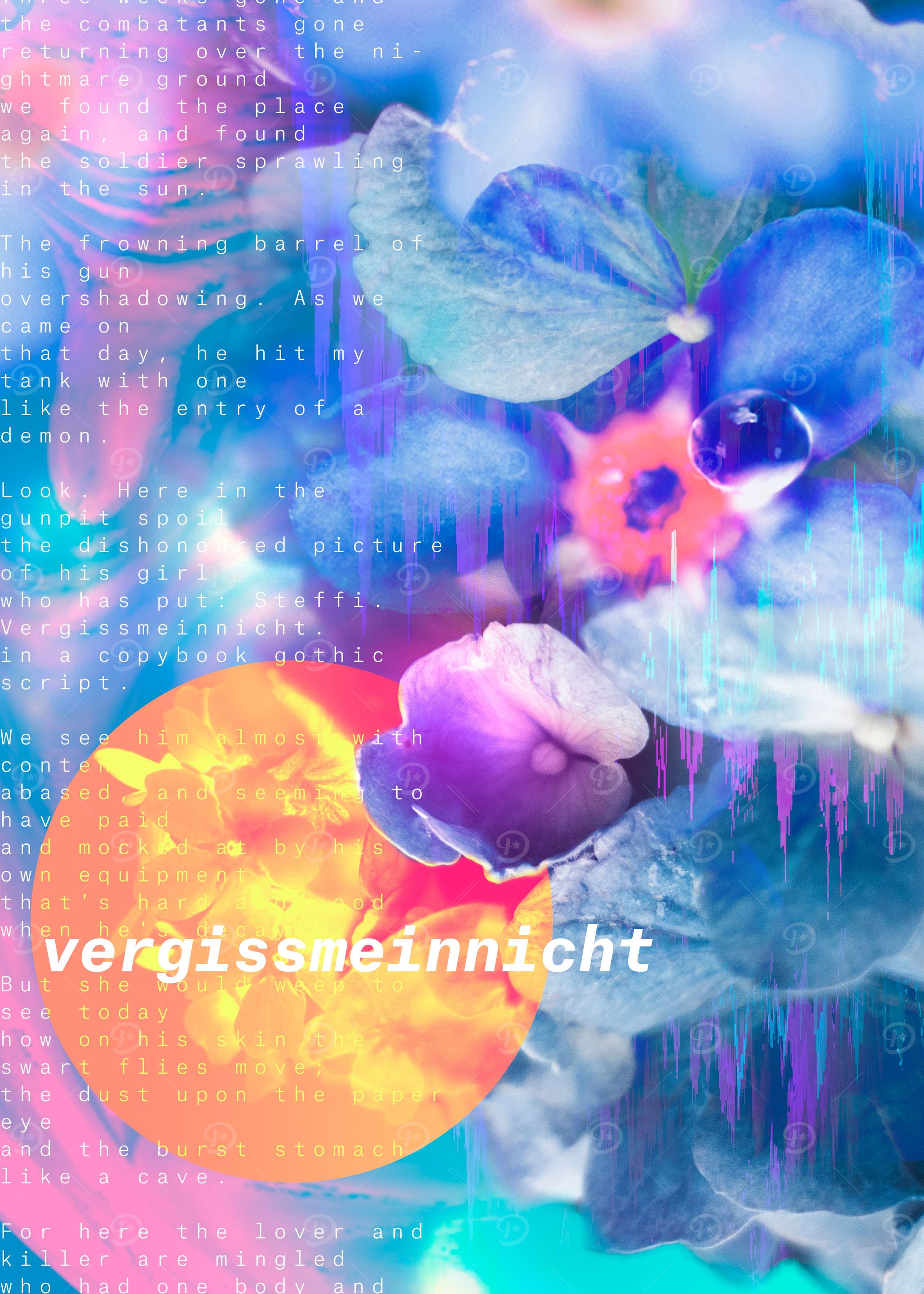 Forget me not