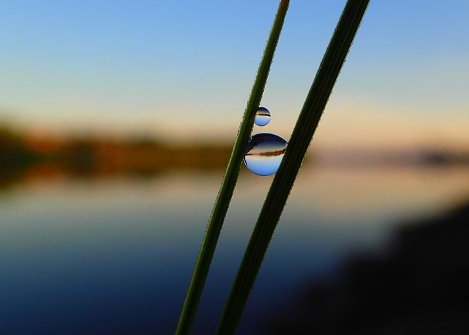 Waterdrop