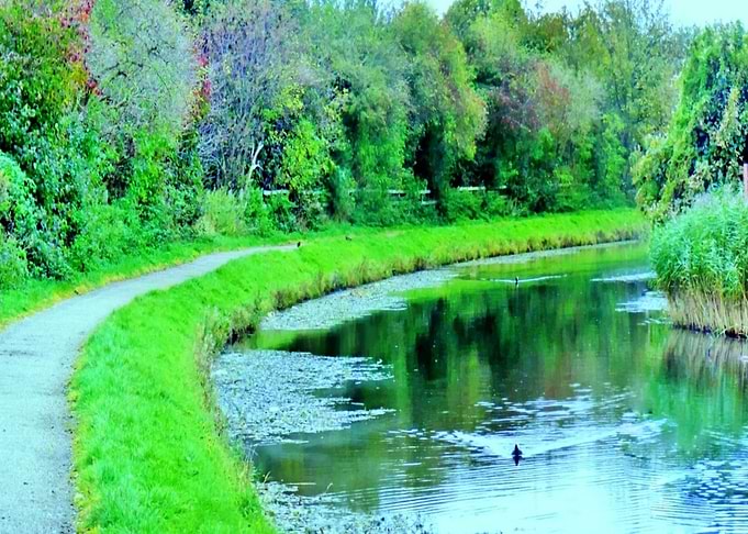 The Canal