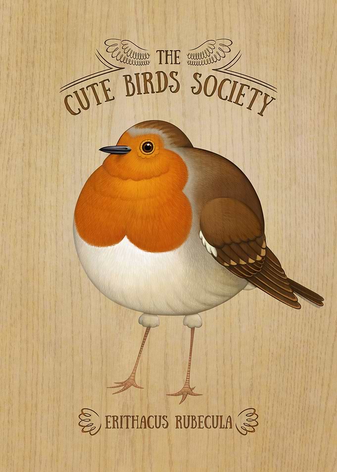 Robin on Wood