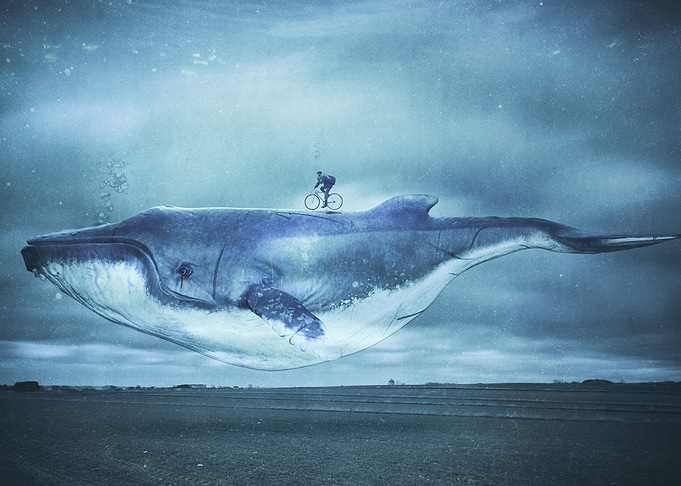 The race