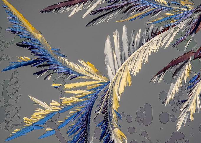 Vitamin C Feathers II
